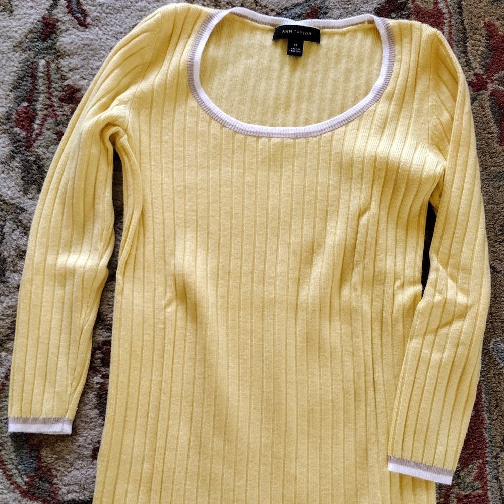 Ann Taylor Sweater